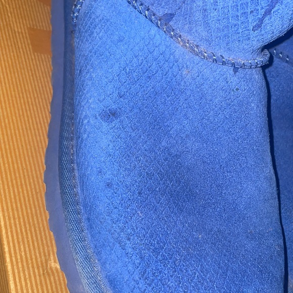 Exotic mini scale blue uggs - Picture 6 of 8